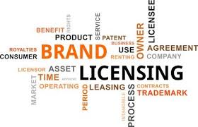 Intellectual Property Licensing Agreement Lawyers in Texas